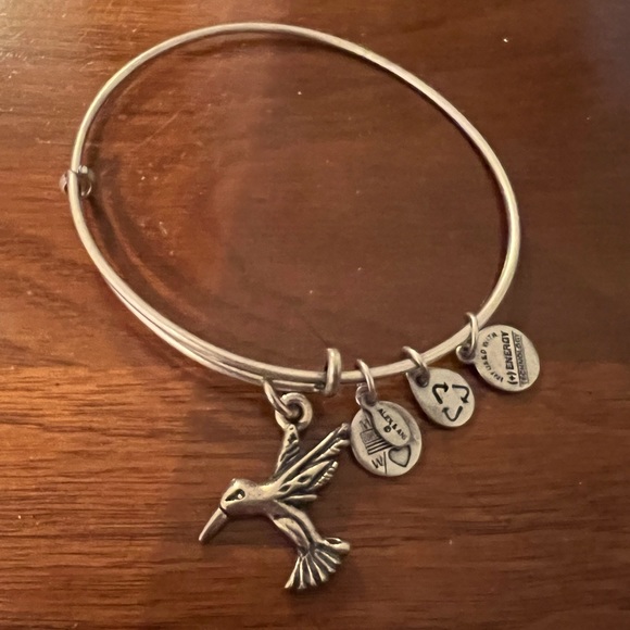 Alex and Ani Hummingbird bangle - Picture 1 of 1